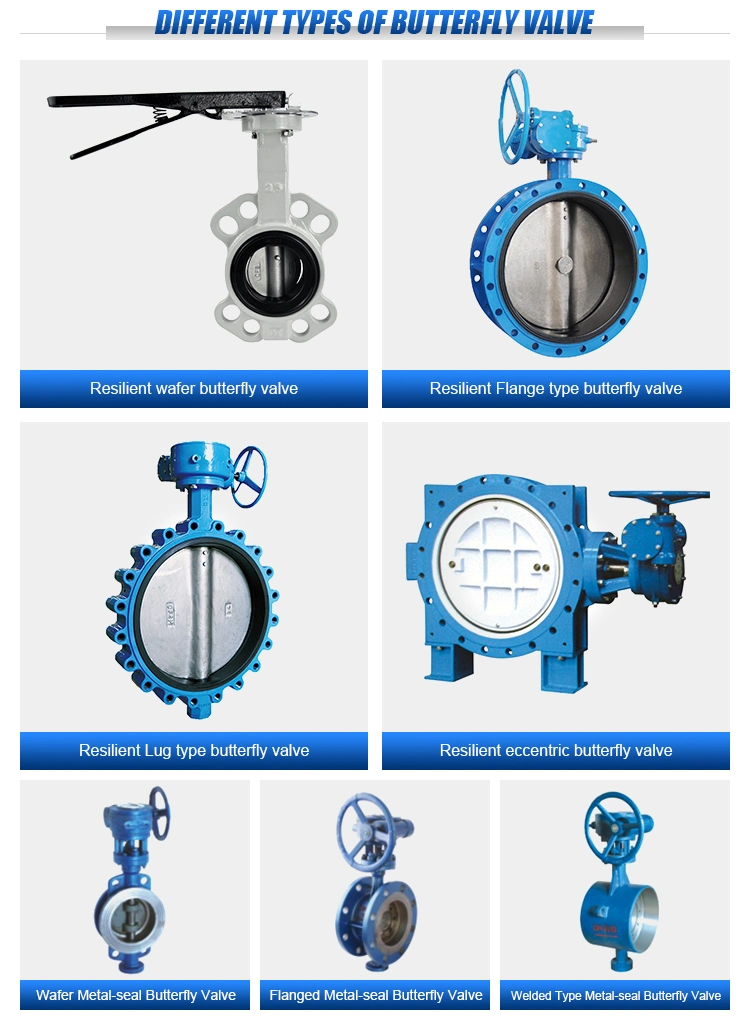 DN800 Pn16 Worm Gear Actuator Ductile Iron EPDM Seat Flange Type Butterfly Valve Pipe Fitting