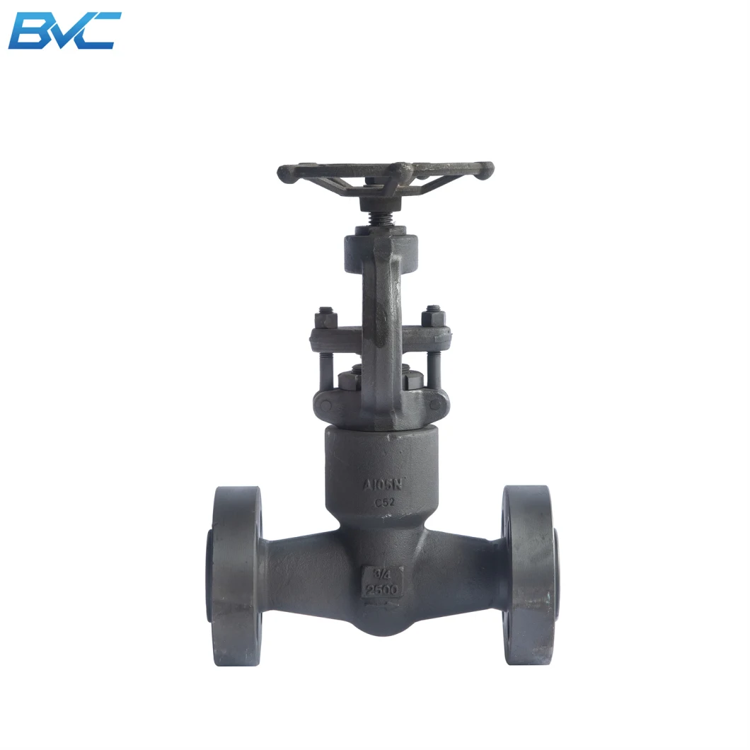 Pressure Seal Bonnet Class 2500 A105 Forged Steel Bw Sw NPT Threaded Flanged End Globe Valve