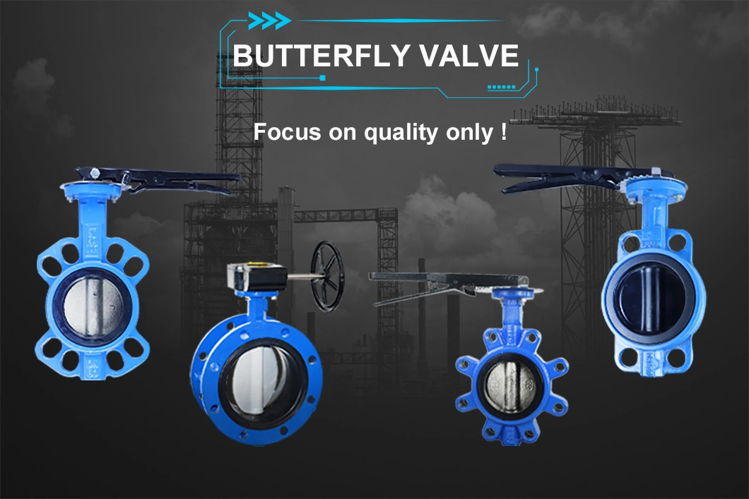 China Manufactured PTFE Seal Material Ductile Iron Worm Gear Electric Lug Butterfly Valve