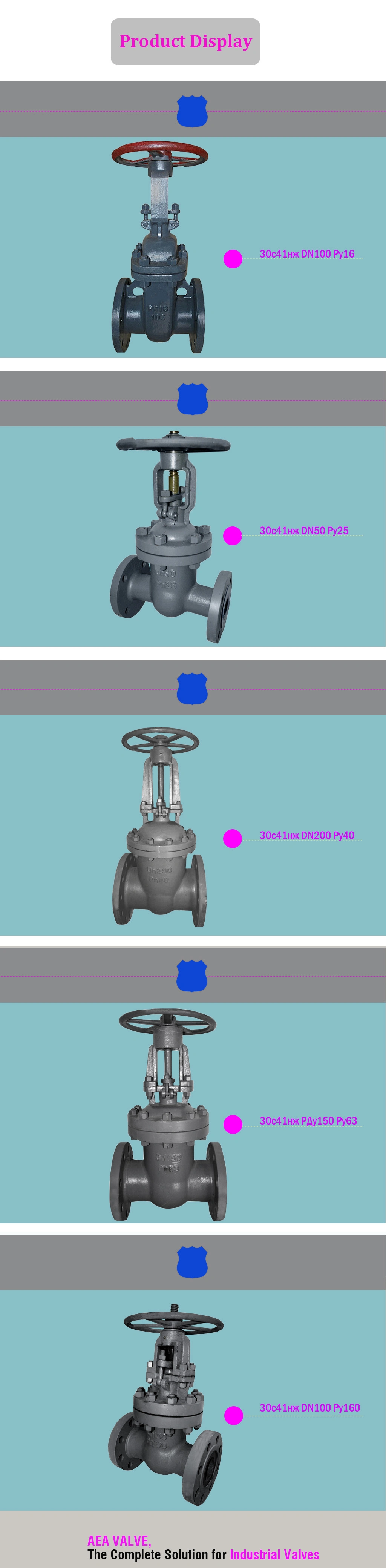 Russian Standard GOST 5762 GOST 9698 Py16 Py25 Py40 Py63 Carbon Steel Bolted Bonnet Flexible Wedge Flanged Gate Valve