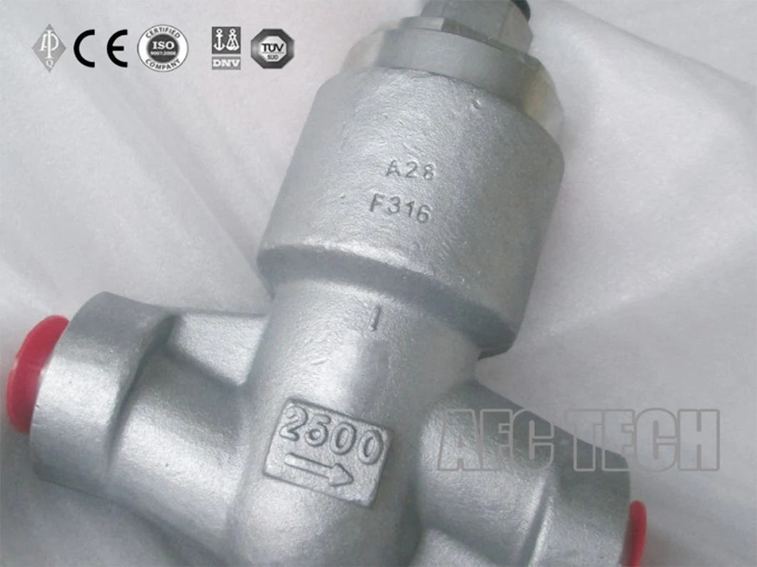 Class 2500 Forged Steel Pressure Seal Check Valve