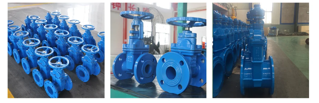 OEM Large Diameter Resilient Soft Seated Extension Stem Ductile Iron Ggg40 Ggg50 Double Flanged DIN3352 F4/F5 Gate Sluice Valve (Z45X-10/16) by Pressure Seal