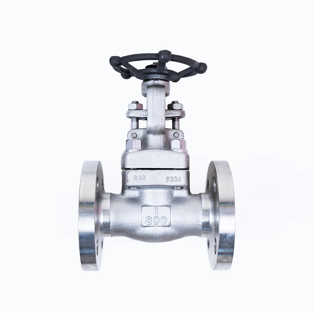 304L/316L Manual Stainless Steel Flange Stop Globe Valve with Hand