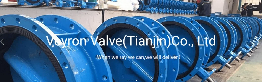 Pn16 25 40 Carbon Stainless Steel SS304 Metal Seated Triple Eccentric Offset Flanged Butterfly Valve DN350