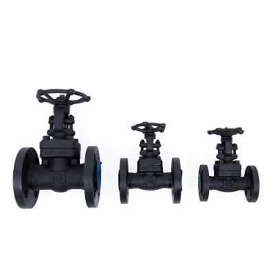 A105 Manual Stainless Forged Flange Stop Globe Valve