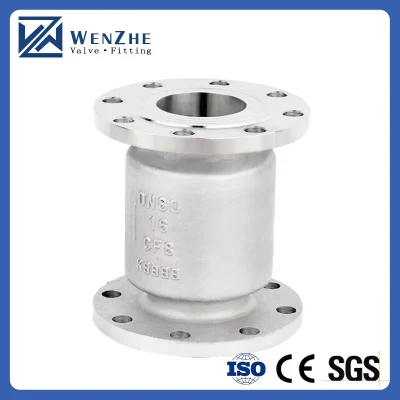 DN25 H42W-16p Stainless Steel 304 Flange Vertical Lift Type Check Valve