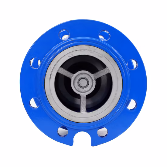 Silent Check Valve
