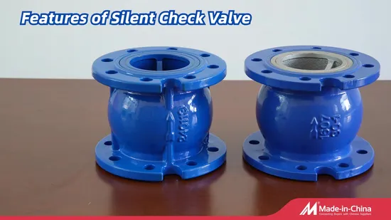 Silent Check Valve