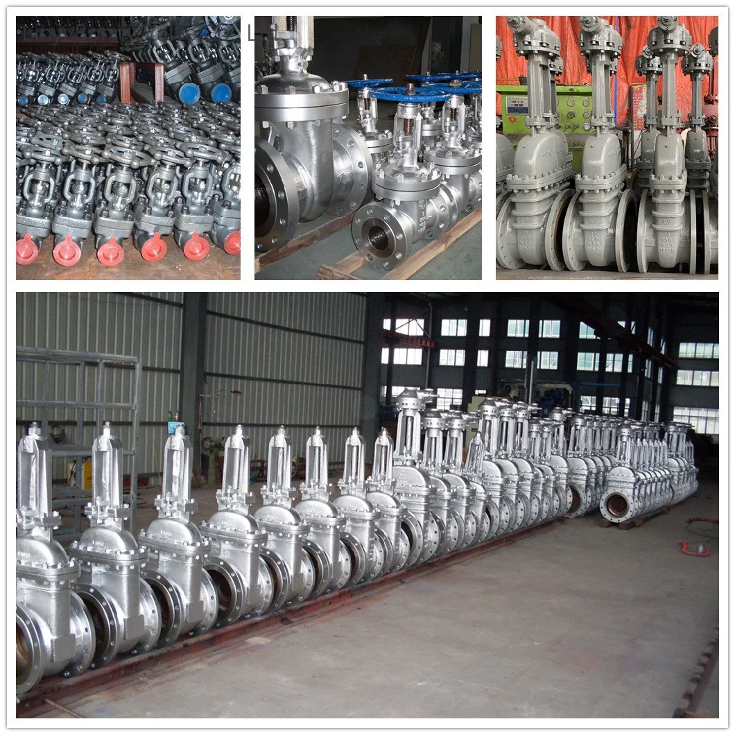 Pn40 API Y Pattern Cast Iron DN50 Globe Valve Made in China