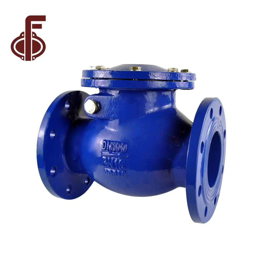 China Factory Welded/Wafer Type/Thread Swing/Lift/ DN50 DN900 EPDM Seat ANSI Standard Double Flanged Non Return Valve for Oil Water Swing Check Valve