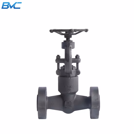 Y Pattern Forged Steel Globe Valve
