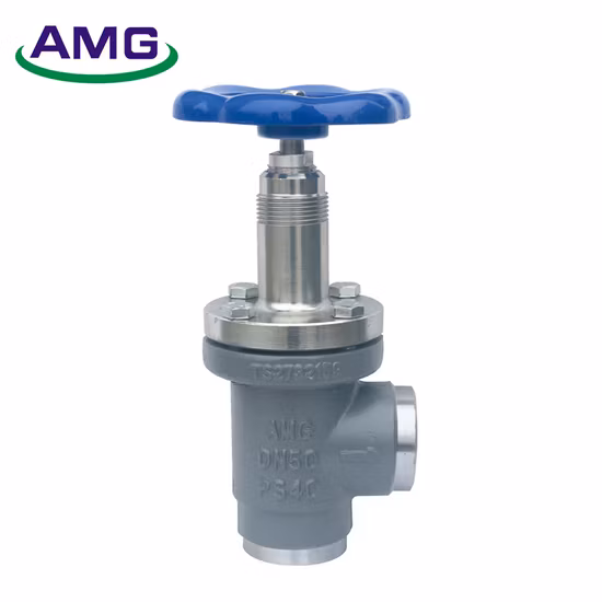 Dn 15-80mm Butt Welding Right Angle Ammonia Fluorine Freon Globe Valve