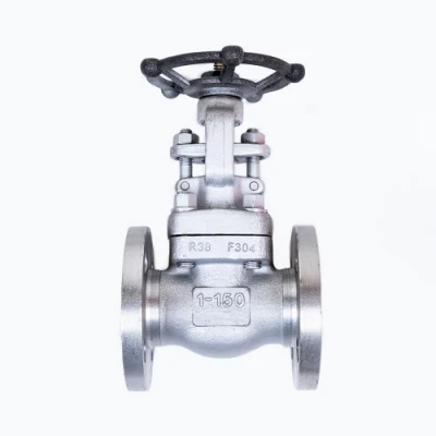 Manual Stainless Forged Flange Stop Globe Valve
