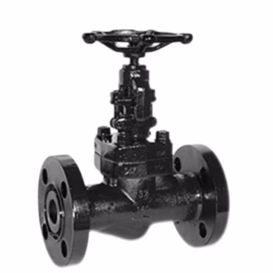 Manual Stainless Forged Flange Stop Globe Valve
