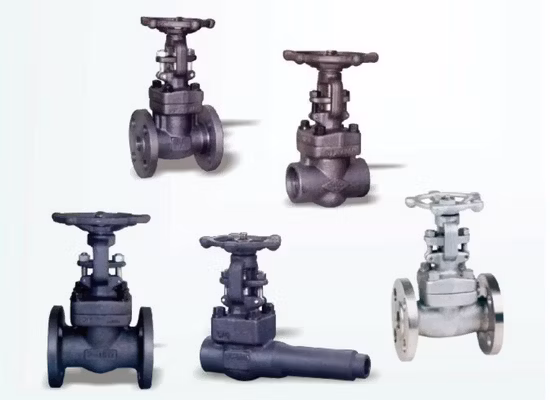 Class 2500 Forged Steel Pressure Seal Check Valve