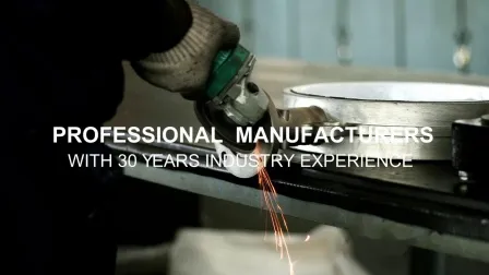 DN100-DN500 Swing Type Wafer Check Valve