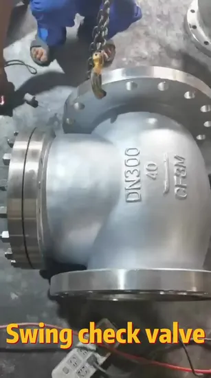 Swing Check Valve ANSI Wcb Body Non Return Valve (H44H-16C/25/40/64)