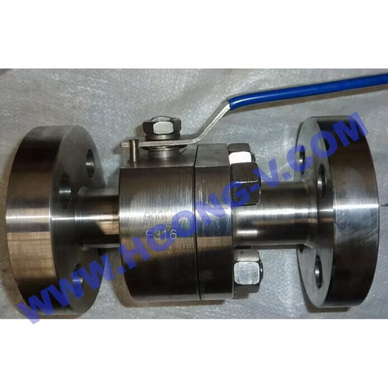 Stainless Steel Alloy Monel NPT Thread Y Pattern High Pressure Globe Valve for Petrochemical Industry