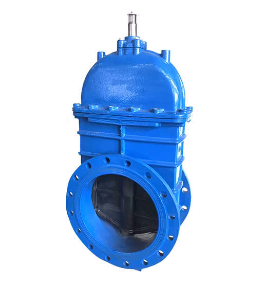 Pn16 DN50 DN600 Flange Cast Iron Wedge Gate Valves