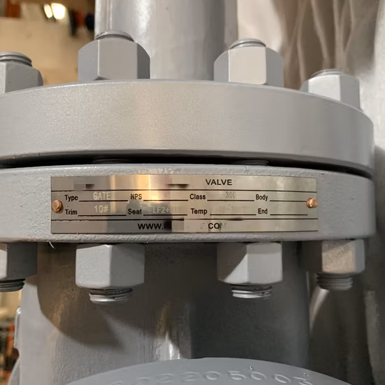 Russian Standard GOST 5762 GOST 9698 Py16 Py25 Py40 Py63 Carbon Steel Bolted Bonnet Flexible Wedge Flanged Gate Valve