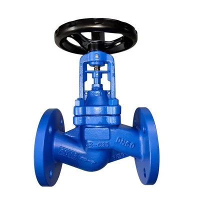 Factory Directly Supply Pn10 DN20 Resilient Seat Flange Cast Iron Rising Stem Soft Seal Stainless Steel Wcb Wedge Gate Valve with Handle Prices