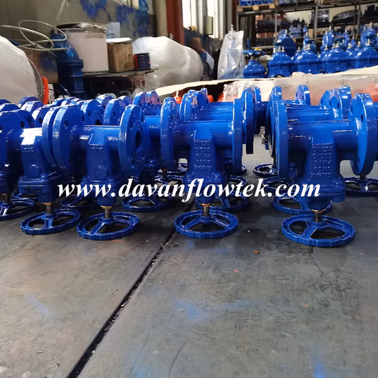 DIN3352 F4/F5 BS5163 Awwa C504 C519 JIS2602 Aus Standard Rubber Wedge Resilient Seat Gate Valve