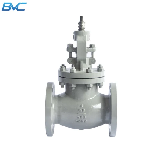 Pn40 API Y Pattern Cast Iron DN50 Globe Valve Made in China