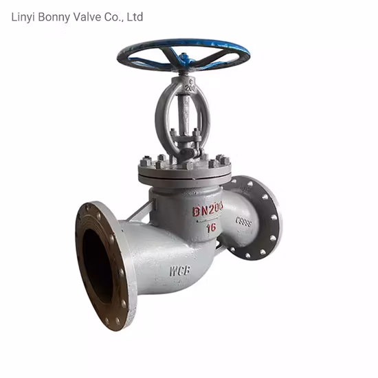 Pn40 API Y Pattern Cast Iron DN50 Globe Valve Made in China