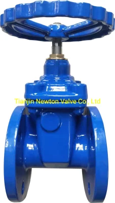 BS5163 Awwa C515 C509 DIN3202 F4 F5 GOST Kr JIS as Wras CE Ggg40/50 Ductile Cast Iron Resilient Rubber Seat Seated Double Flange Flanged Wedge Water Gate Valves
