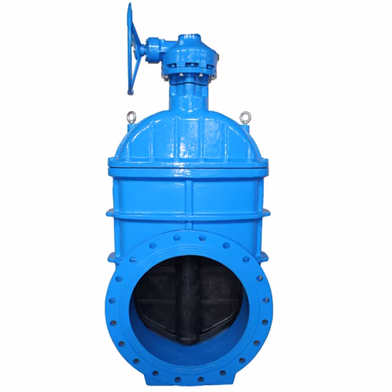 BS5163 Awwa C515 C509 DIN3202 F4 F5 GOST Kr JIS as Wras CE Ggg40/50 Ductile Cast Iron Resilient Rubber Seat Seated Double Flange Flanged Wedge Water Gate Valves